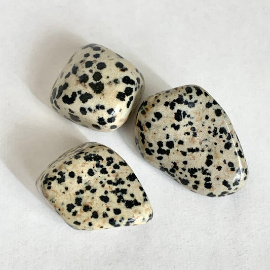 Dalmatian Jasper Stone Set, Tumbled