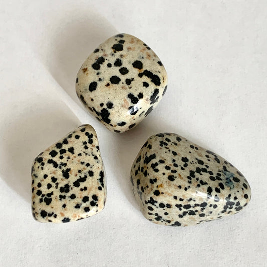 Dalmatian Jasper Stone Set, Tumbled