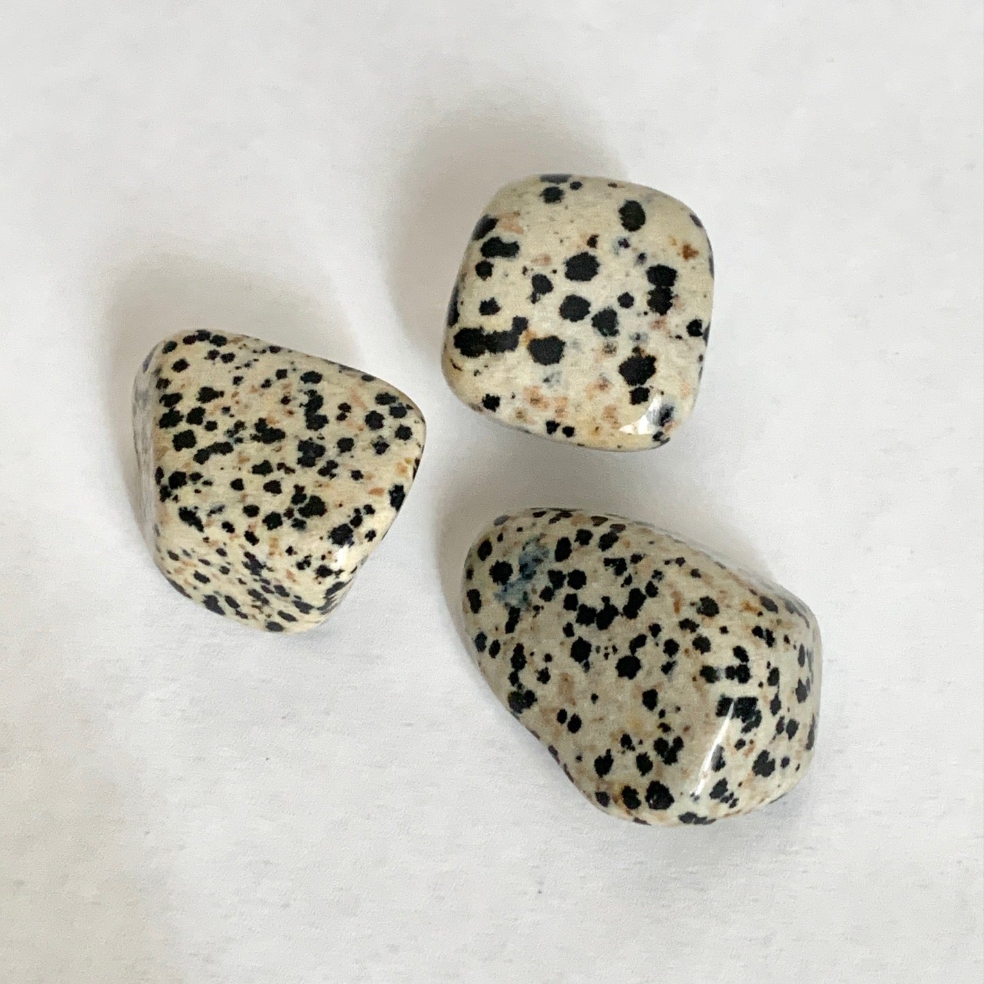 Dalmatian Jasper Stone Set, Tumbled